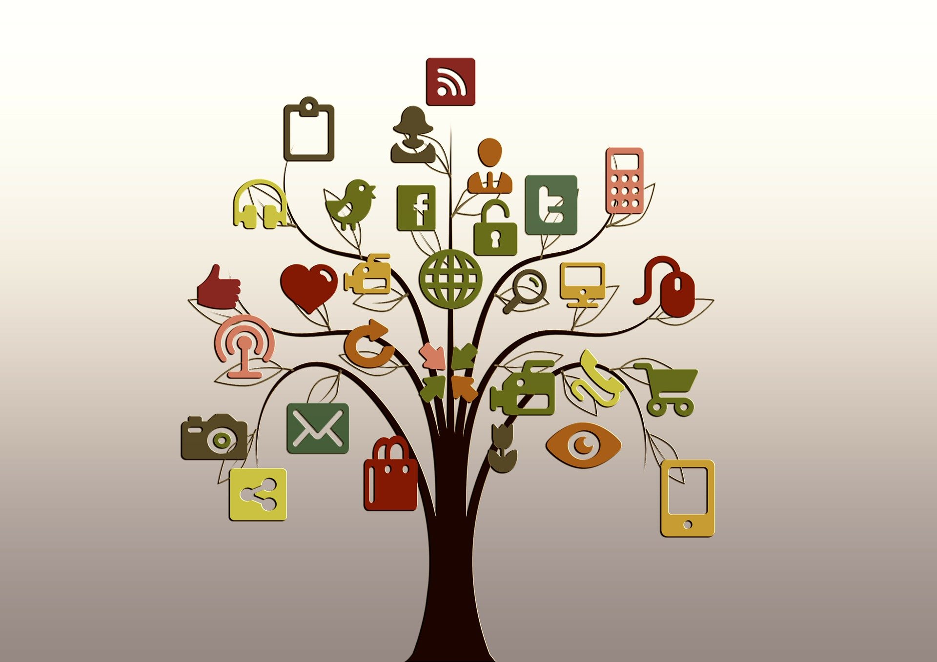 Social Media Visibility